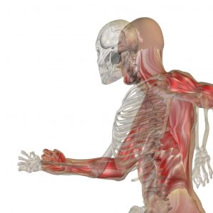 CPDG treating the MSK system with ear acupuncture