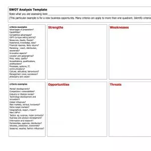 CPDG SWOT analysis