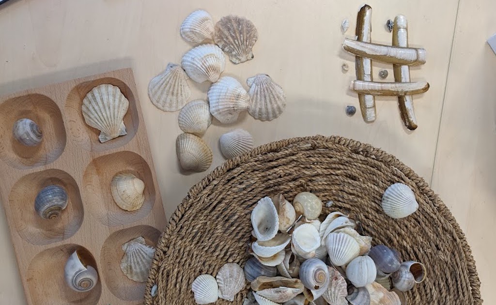 Lesson 2_ Conclusion social