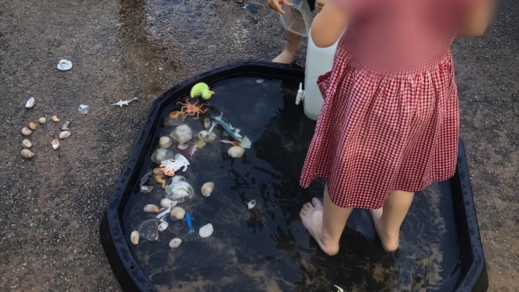 Lesson 4 Introduction